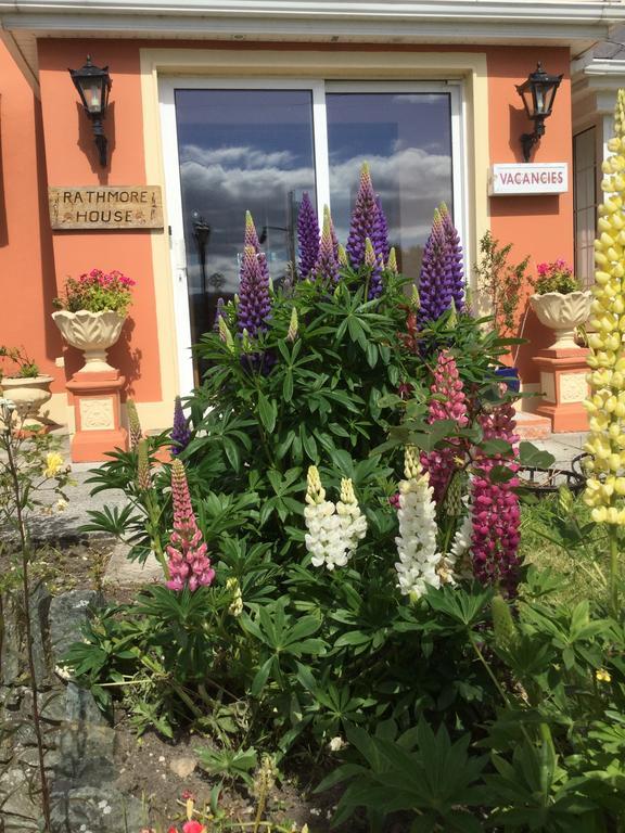 Rathmore House Bed & Breakfast Killarney Dış mekan fotoğraf